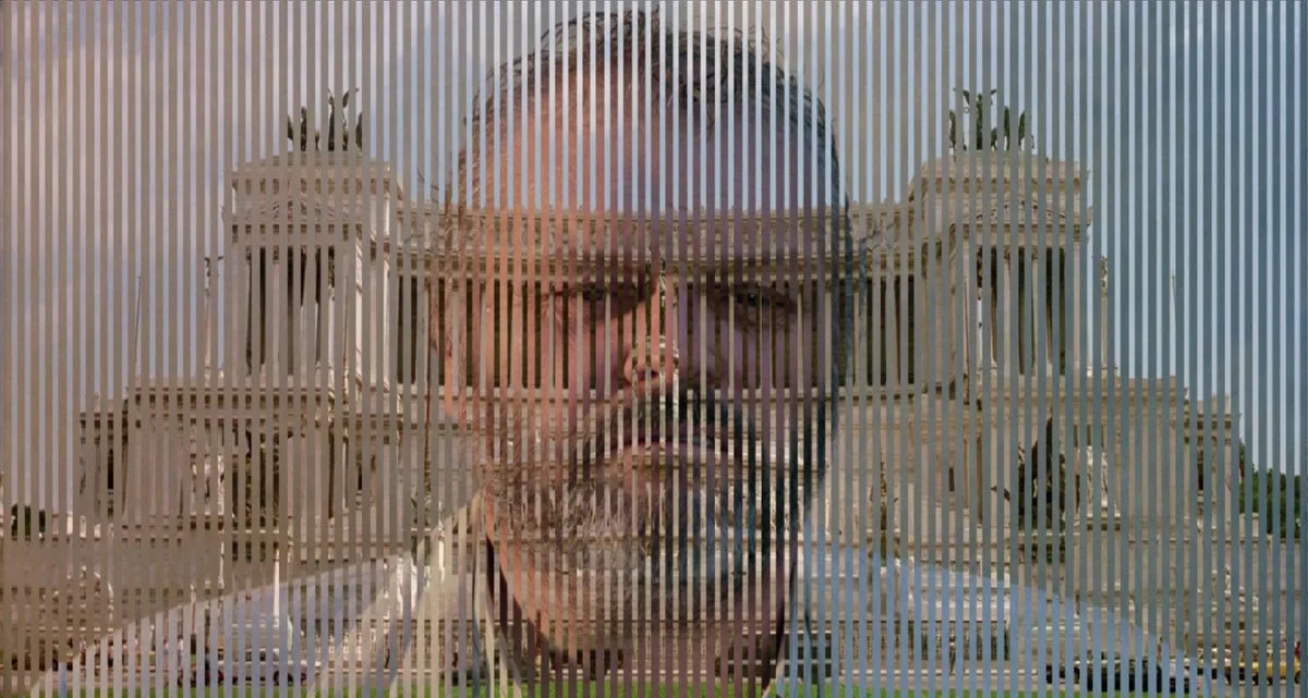 El vientre de un arquitecto